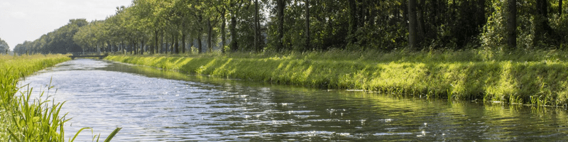 vissen op het overijssels kanaal