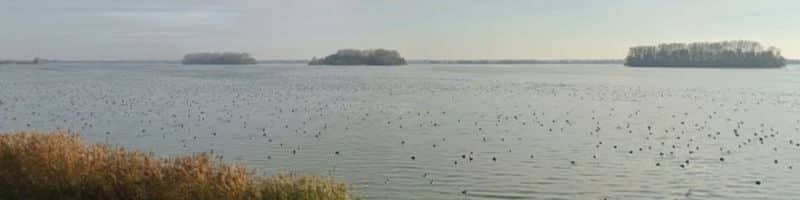 vissen op het veluwemeer