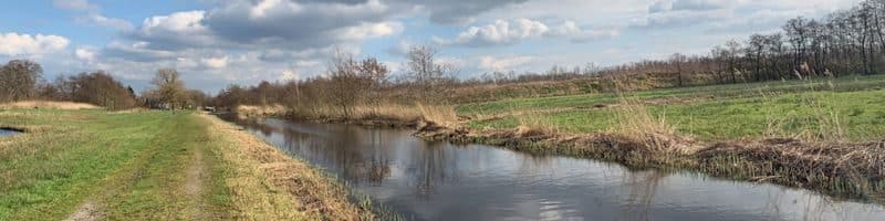 Vissen in Hilversum