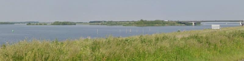 Vissen op het eemmeer