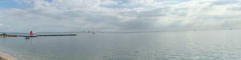 vissen op het markermeer