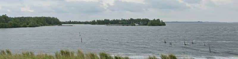 vissen op het wolderwijd
