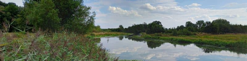 Vissen in de regge