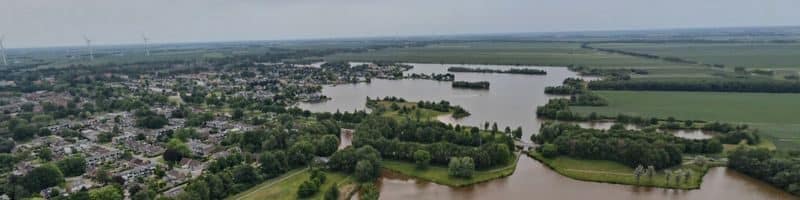 Vissen in veendam