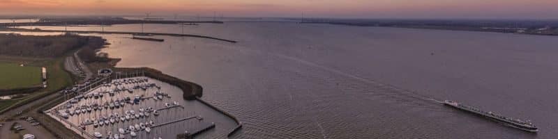 Vissen op het Hollands Diep