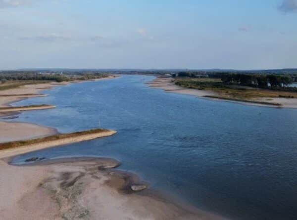 Vissen in de Waal