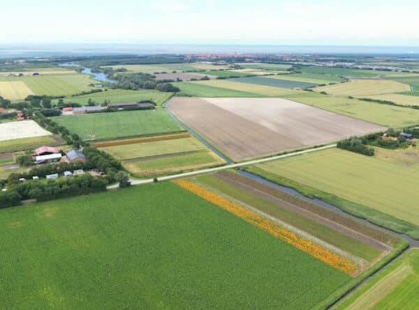 Vissen in polder Walcheren