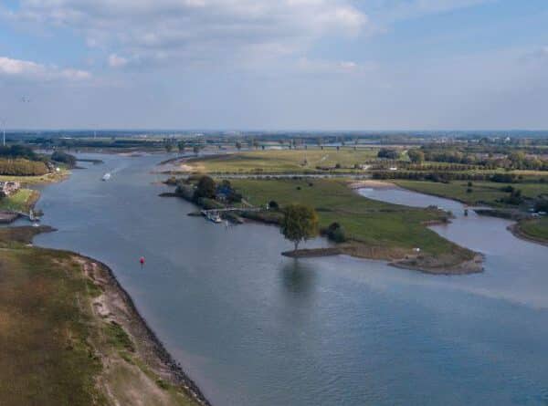 Vissen op de Lek