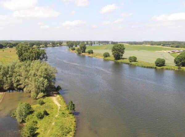 Vissen op de Maas