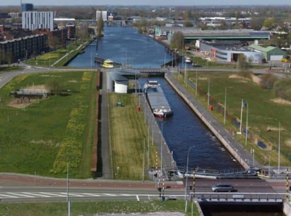 Vissen op het Van Starkenborghkanaal