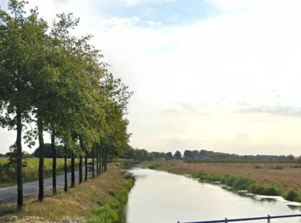 Vissen op de Linge