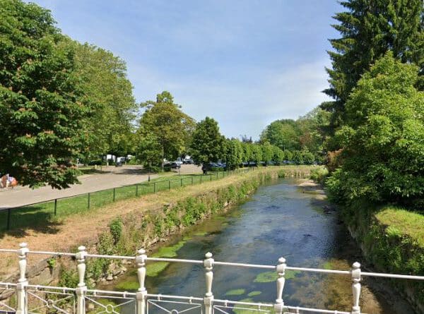Vissen in rivier de Geul