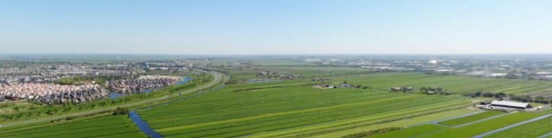 Vissen in Alphen aan den Rijn