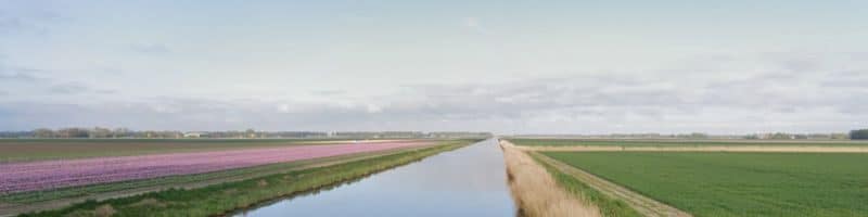 Vissen in Emmeloord