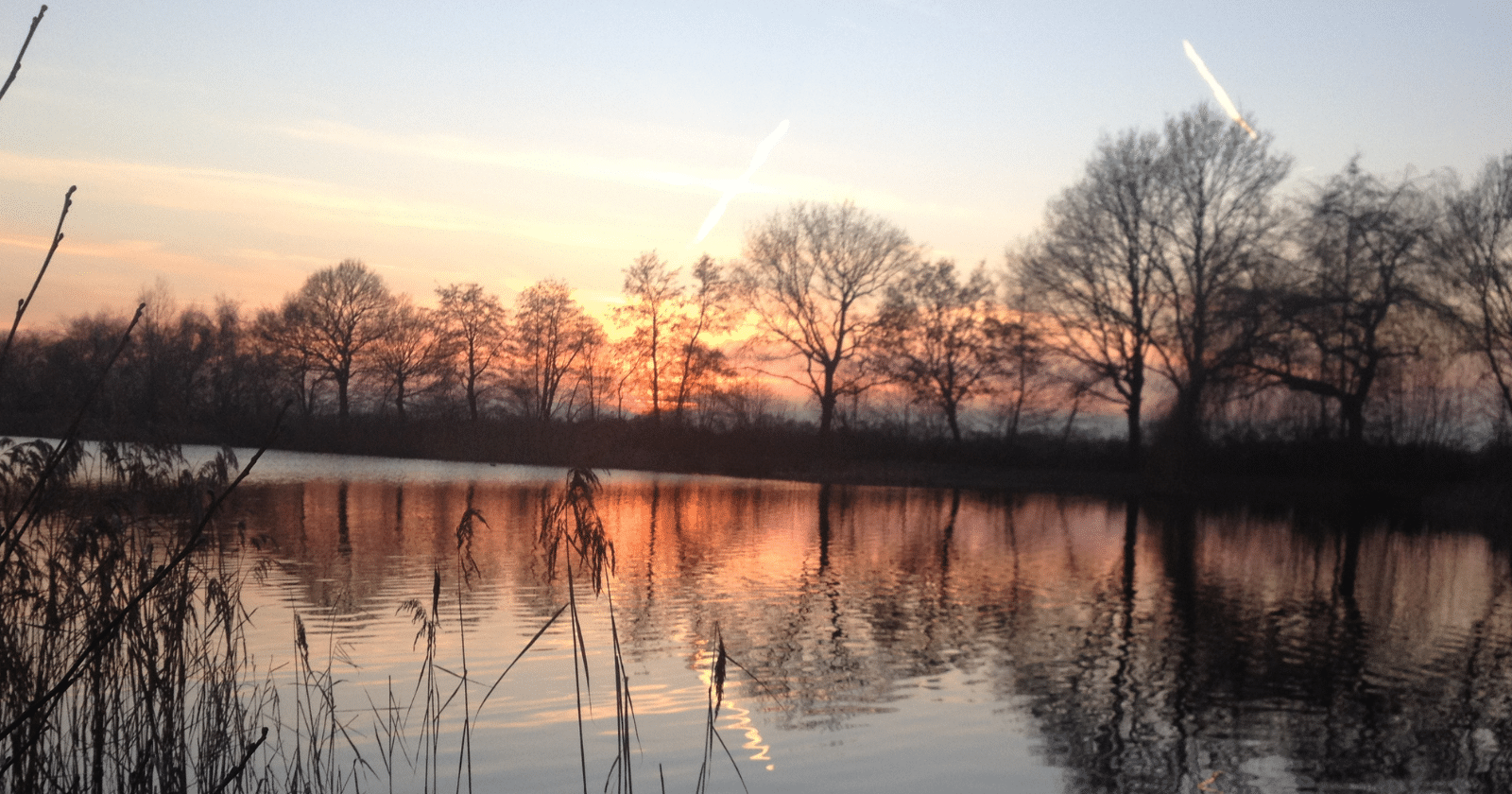 Vissen in Groningen - Sportvisbrigade.nl