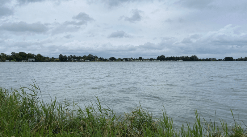 Leer vissen in Nederland