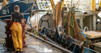 Remote werken aan de waterkant
